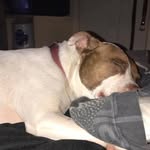 Kyler Scott - @kyler.scott.900 - Instagram
