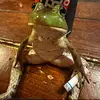 kyler - @kyler..white - TikTok