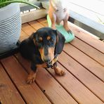 Kylie Barr - Facebook
