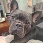 Kylie Baldwin Beasley - @kyzaj - Instagram