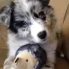 Kylie Betts - @cheer.kylie2 - TikTok