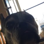 Kylie Bruce - @kyliebruce6469 - Instagram