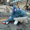 kylie_carter101 - @kylie_carter101 - TikTok