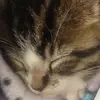Kylie Chaney - @kyliechaney - TikTok