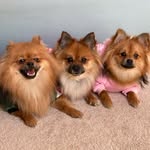 @coco_shipper_kylie - Instagram