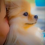 kylie&coco - @pomer.kylie_coco - Instagram