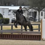 Kylie Collier - @kylie.collier_eq - Instagram