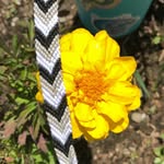 cRafTY - @kylie_crafty_16 - Instagram