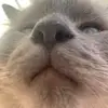 Kylie Crouch - @kylie.crouch - TikTok