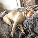 Kylie - @kylie.crouch9842 - Instagram