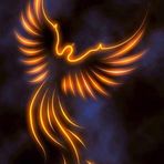 Kylie Dalton - Facebook