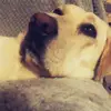 kyliedavies98 - @kyliedavies98 - TikTok