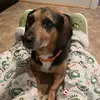 kylie_egan - @kylie_egan - TikTok