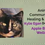Kylie Egan - @apple_blossom_wellness - Instagram