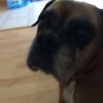 Kylie Farmer - @kyliefar5 - Instagram