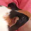 kylieferriss - @qunxsl - TikTok