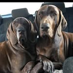Kylie Flint - @kindredcats - Instagram