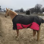 Kylie - @kylieflint26 - Instagram