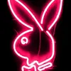 ~Kylie -Fox~ - @kylie_fox14 - TikTok