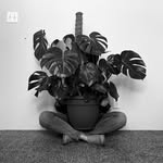 Kylie Fuller - @k.fullerplants - Instagram