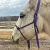 Kylie Gall - @kylie.gall0 - TikTok
