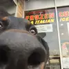 kylie - @kylie.griffith - TikTok