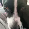 Kylie hammersmith - @kylie.hammersmith - TikTok