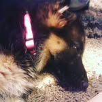 kylie hammet - @kyliehammet - Instagram