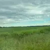 Kylie Hand - @kylie.hand - TikTok