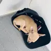 Kylie Harrison - @kylieharrison28 - TikTok