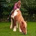 Kylie Holmes - Facebook