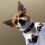 Kylie Hurst - Facebook