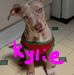 Kylie Kate Joseph - Facebook