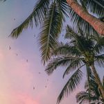 Kylie Lloyd - @kylielloydsclosetsale - Instagram