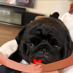 Kylie Marks - @kylie.mitchell.161 - Instagram