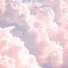 kylie.mcbride - @kylie.mcbride3 - TikTok