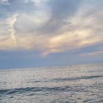 Kylie _Isabella1 - @kylie_mcguire - Instagram