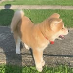 Kylie🐶 - @kylie.mueller15 - Instagram