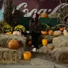 kylie💋 - @kylie.nolan1 - TikTok