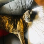 Kylie Pearson - @kylie_pearson74 - Instagram