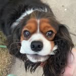 Kylie Proctor - @proctor_kylie - Instagram