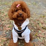 🐾🐩kylie - @kylie_queen2021 - Instagram
