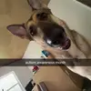 Kylie - @kylie_snyder1 - TikTok