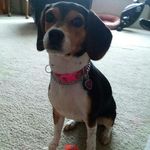 Kylie Snyder - @snyderkylie - Instagram