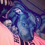 kylie stark - @kylie_ann_stark - Instagram