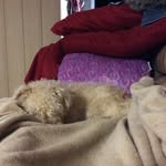Kylie - @kylie_vaughn_2007 - Instagram