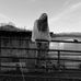 Kylie Weaver - Facebook