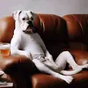Kym Cooper - @kym.cooper - TikTok