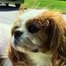 Kym Cooper - Facebook