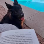Kym McIntyre - @mcintyre.kym - Instagram
